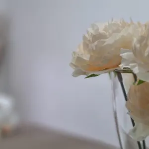  Appartamento Giulia